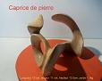 Sculpture en st�atite de couleur ocre nomm�e caprice de pierre en raison de l`initiative que la pierre a prise d`elle m�me de m`imposer sa forme.